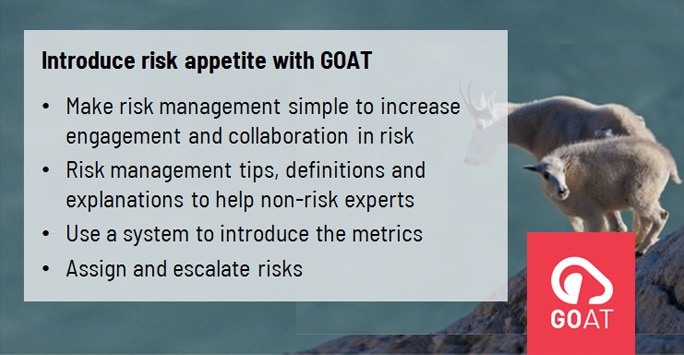 Software to support risk appetite