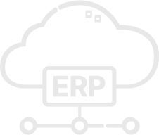 ERP Integration Services