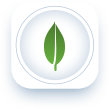 MongoDB