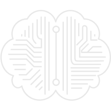 Custom ML Model Development